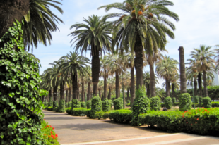 parc-de-la-ligue-arabe